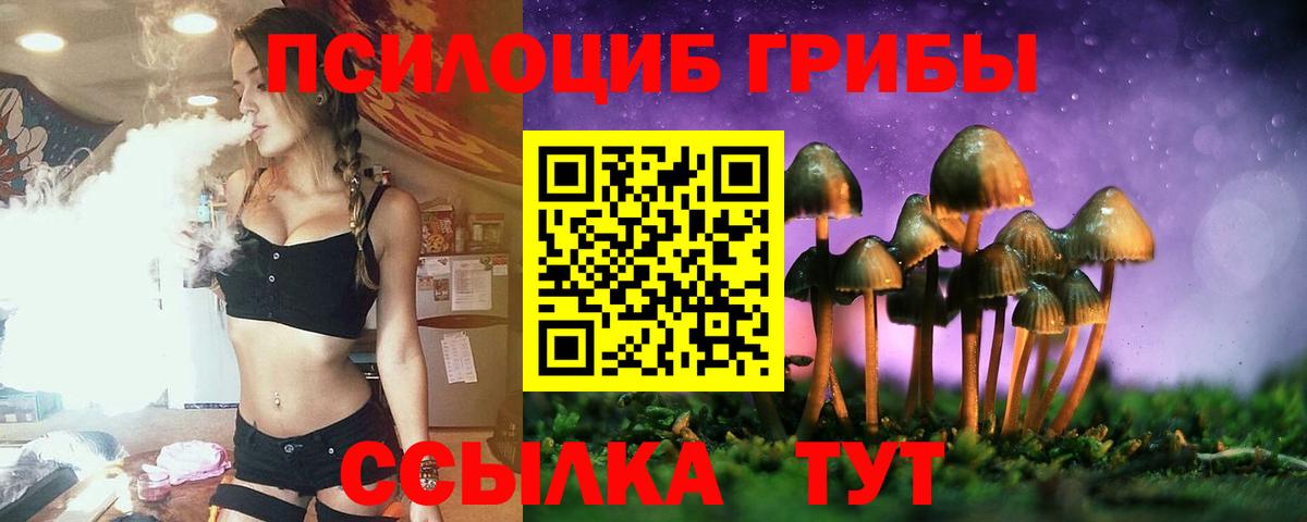 Галлюциногенные грибы Cubensis  Псилоцибиновые грибы Magic Shrooms  как найти закладки  Вход с VPN  Норильск 